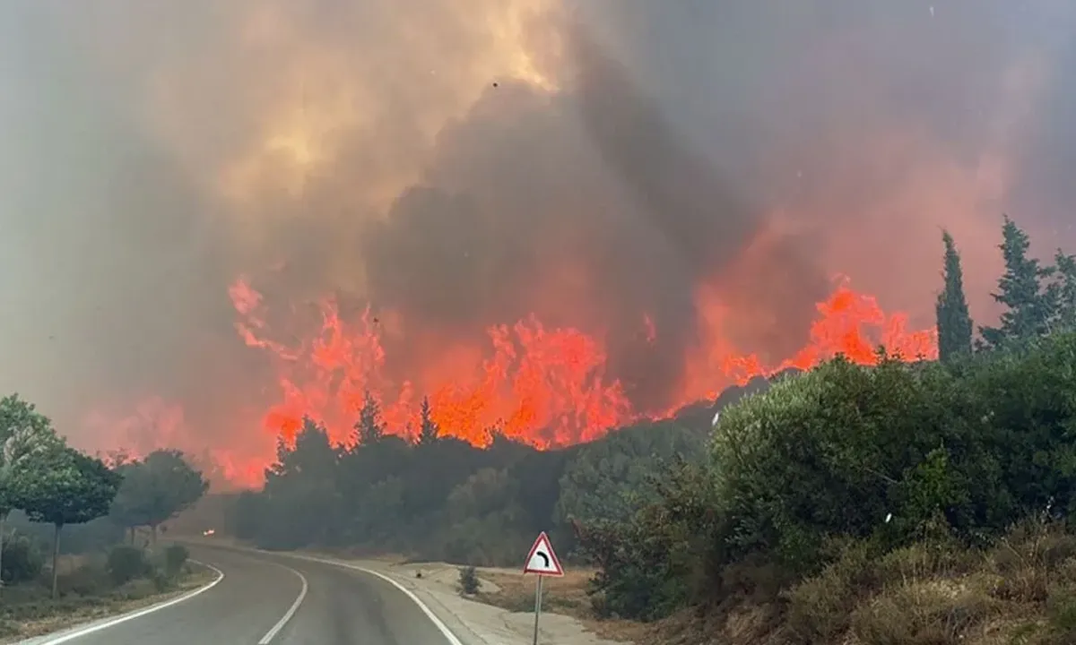 Bakanlıktan Çanakkale yangınıyla ilgili yalanlama! Maden sahasıyla bağlantılı olduğuna yönelik iddiaları gerçeği yansıtmıyor!