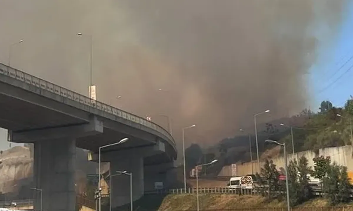 Son dakika: Eyüp Sultan'da korku dolu anlar!  Dumanlar TEM Otoyolu'nu sardı!