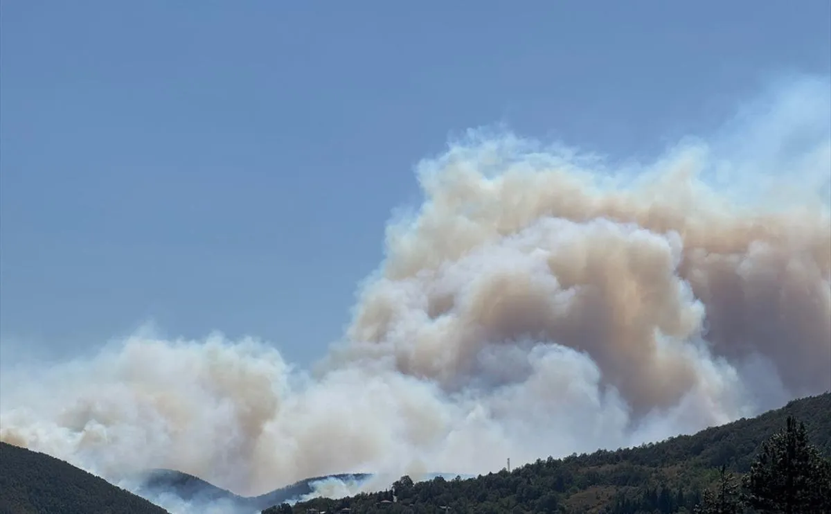 Kocaeli yanıyor! Alevler geniş alana yayıldı: Tahliyeler başladı