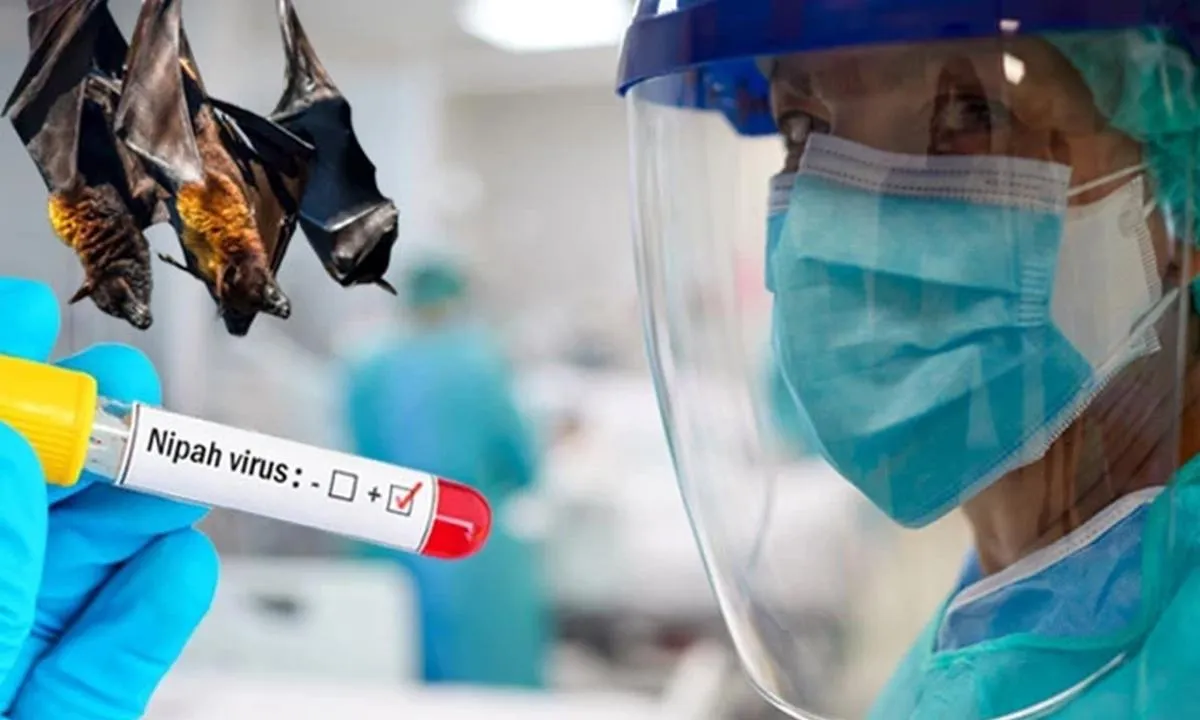 Covid 19'dan 5 kat daha ölümcül! Nipah virüsü Türkiye'ye sıçrar mı? DSÖ'den açıklama var