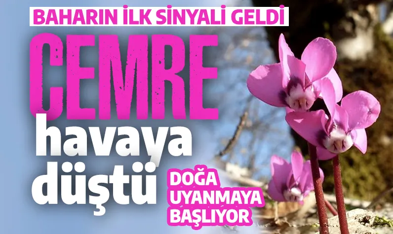 İlk cemre düştü! Baharın ilk sinyali geldi: Doğa uyanıyor...