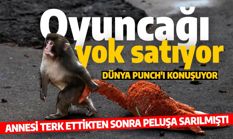 Yavru maymun bir fotoğrafla ünlü oldu! Oyuncakları piyasaya sürüldü: Binlerce dolar teklif edildi! 